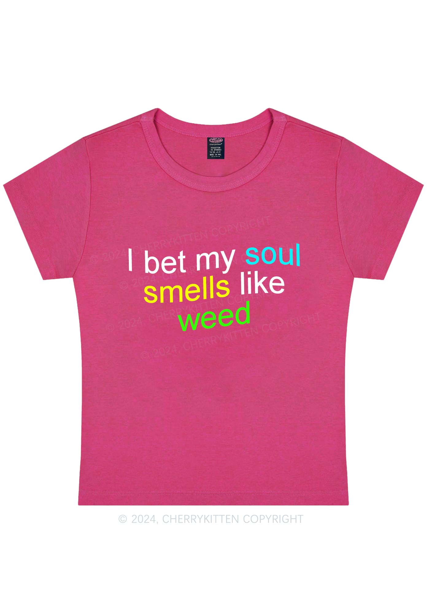 Soul Smells Like Wxxd Y2K Baby Tee Cherrykitten