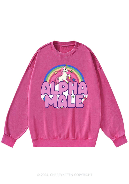 Rainbow Unicorn Alpha Male Y2K Washed Sweatshirts Cherrykitten