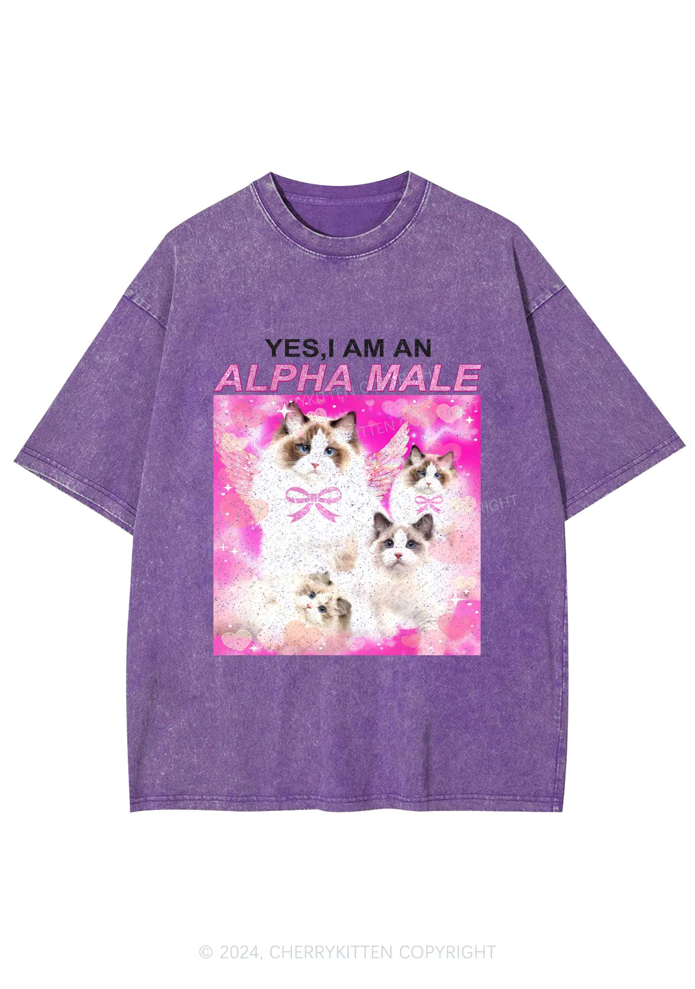 Alpha Male Y2K Washed Tee Cherrykitten