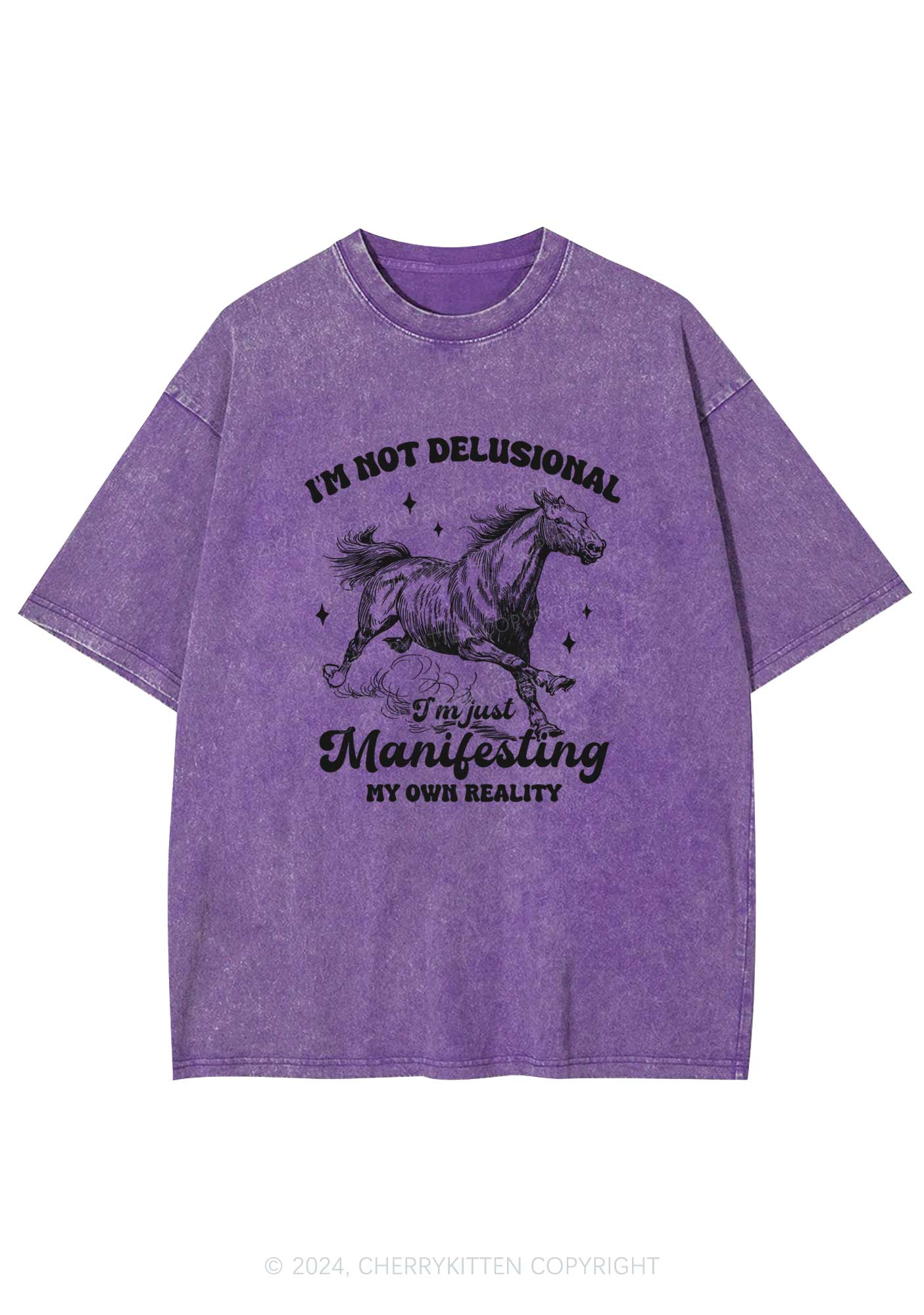 Not Delusional Just Manifesting Y2K Washed Tee Cherrykitten