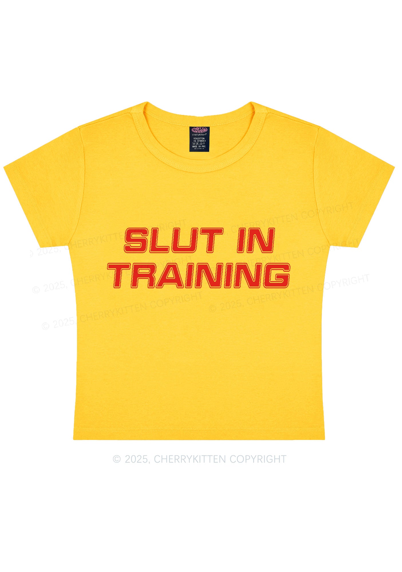 Slxt In Training Y2K Baby Tee Cherrykitten