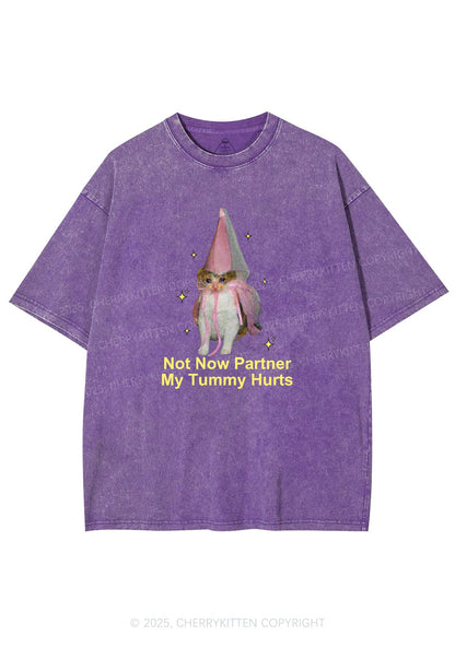 Tummy Hurts Cat Y2K Washed Tee Cherrykitten