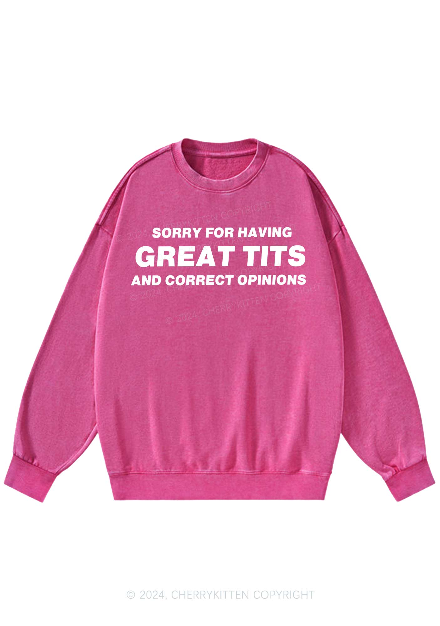 Sorry For Having Correct Opinions Y2K Washed Sweatshirts Cherrykitten