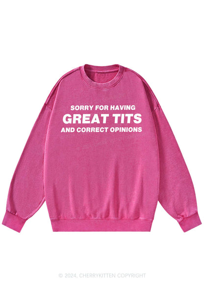 Sorry For Having Correct Opinions Y2K Washed Sweatshirts Cherrykitten