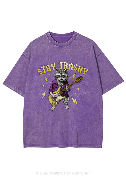 Stay Trashy Guitar Raccoon Y2K Washed Tee Cherrykitten