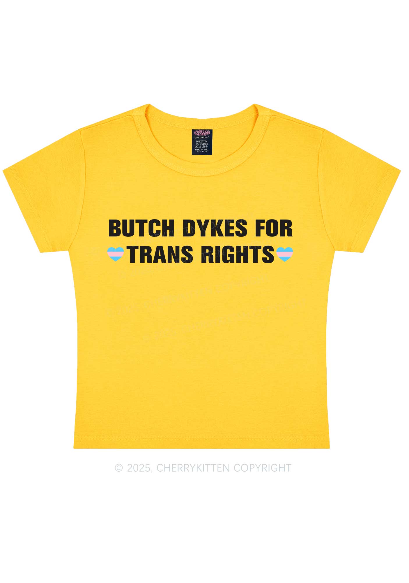 Butch Dykes For Trans Rights Y2K Baby Tee Cherrykitten