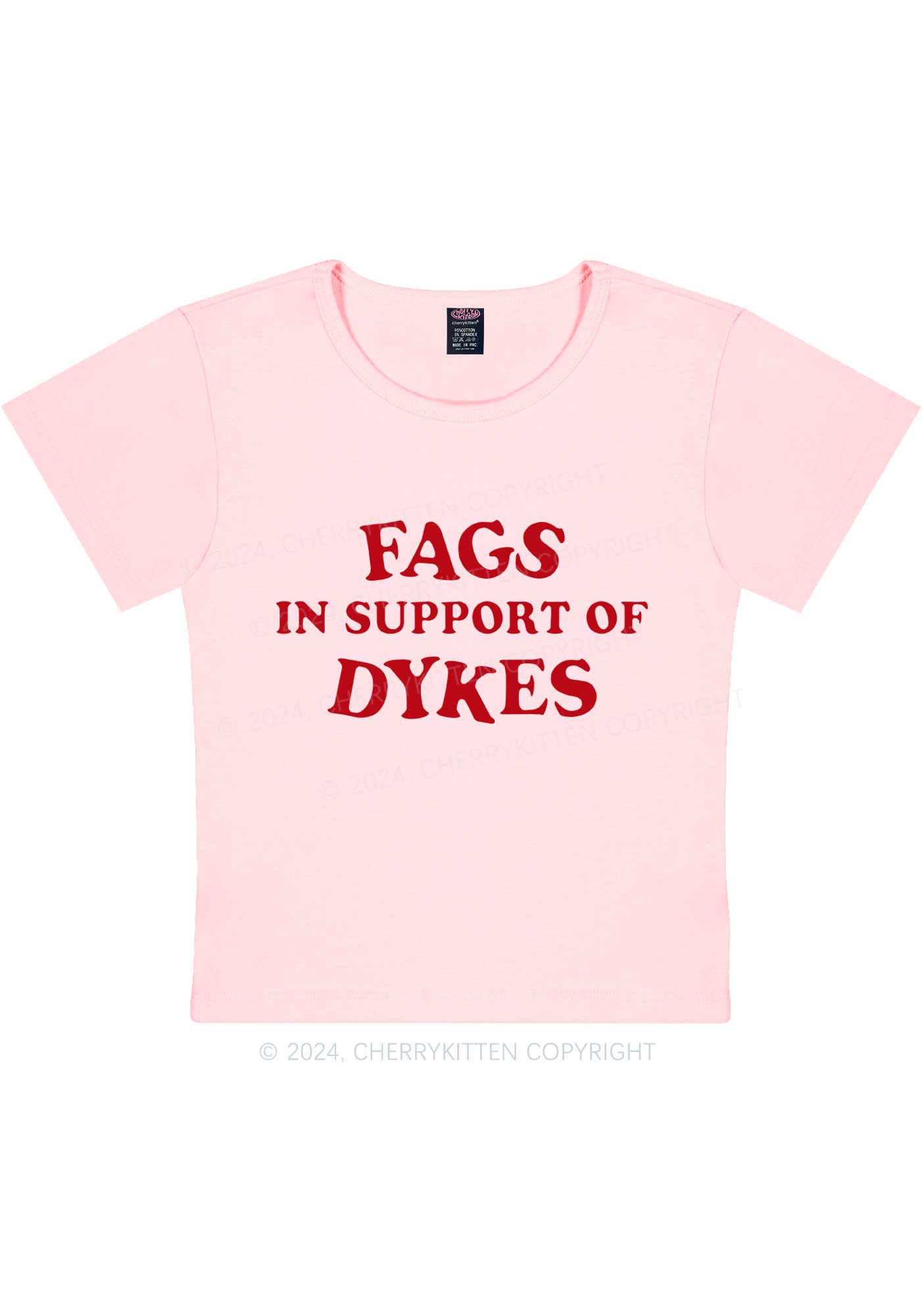 Fags Dykes Y2K Baby Tee Cherrykitten