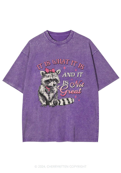 Not Great Raccoon Y2K Washed Tee Cherrykitten