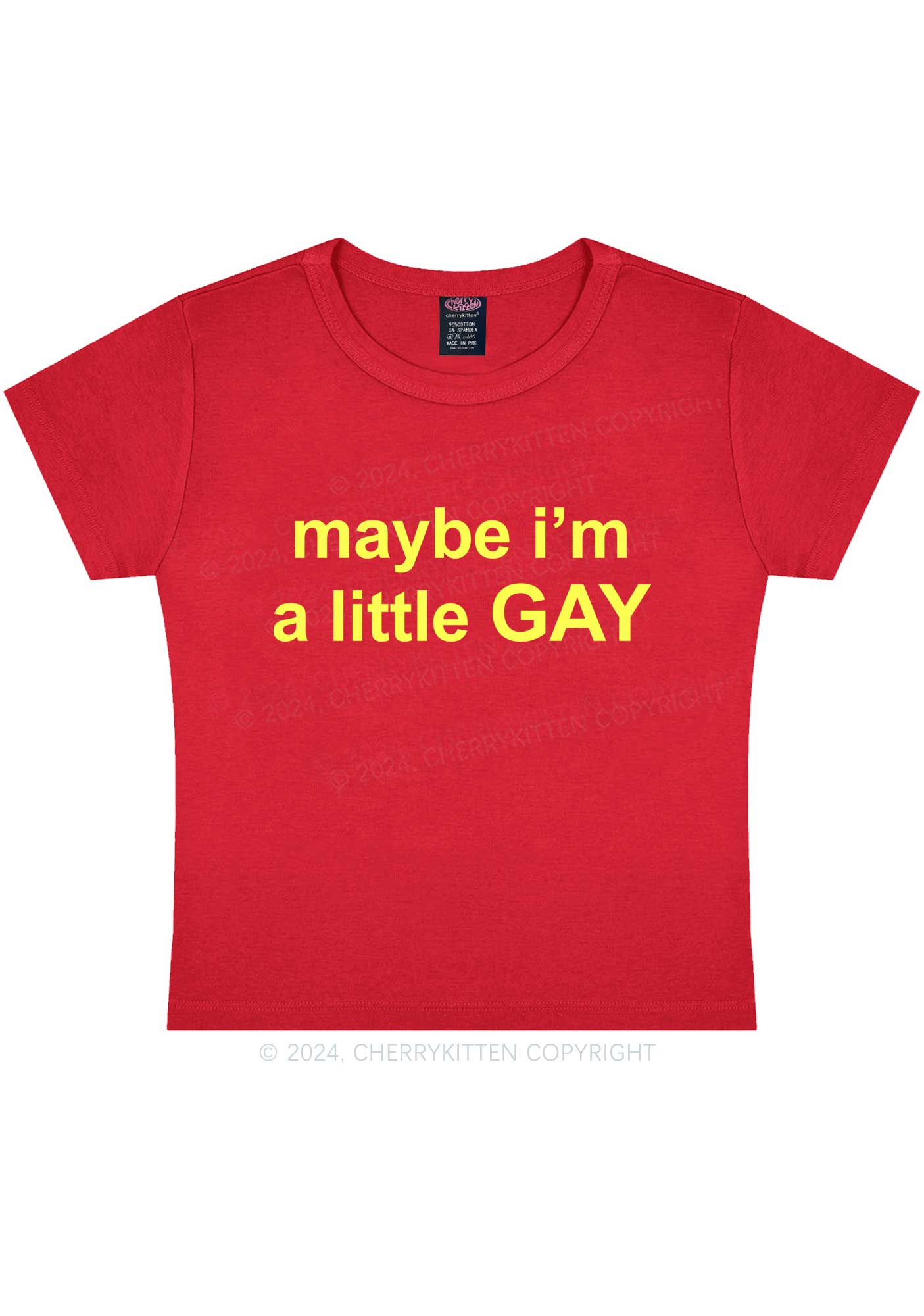 Maybe I'm A Gay Y2K Baby Tee Cherrykitten