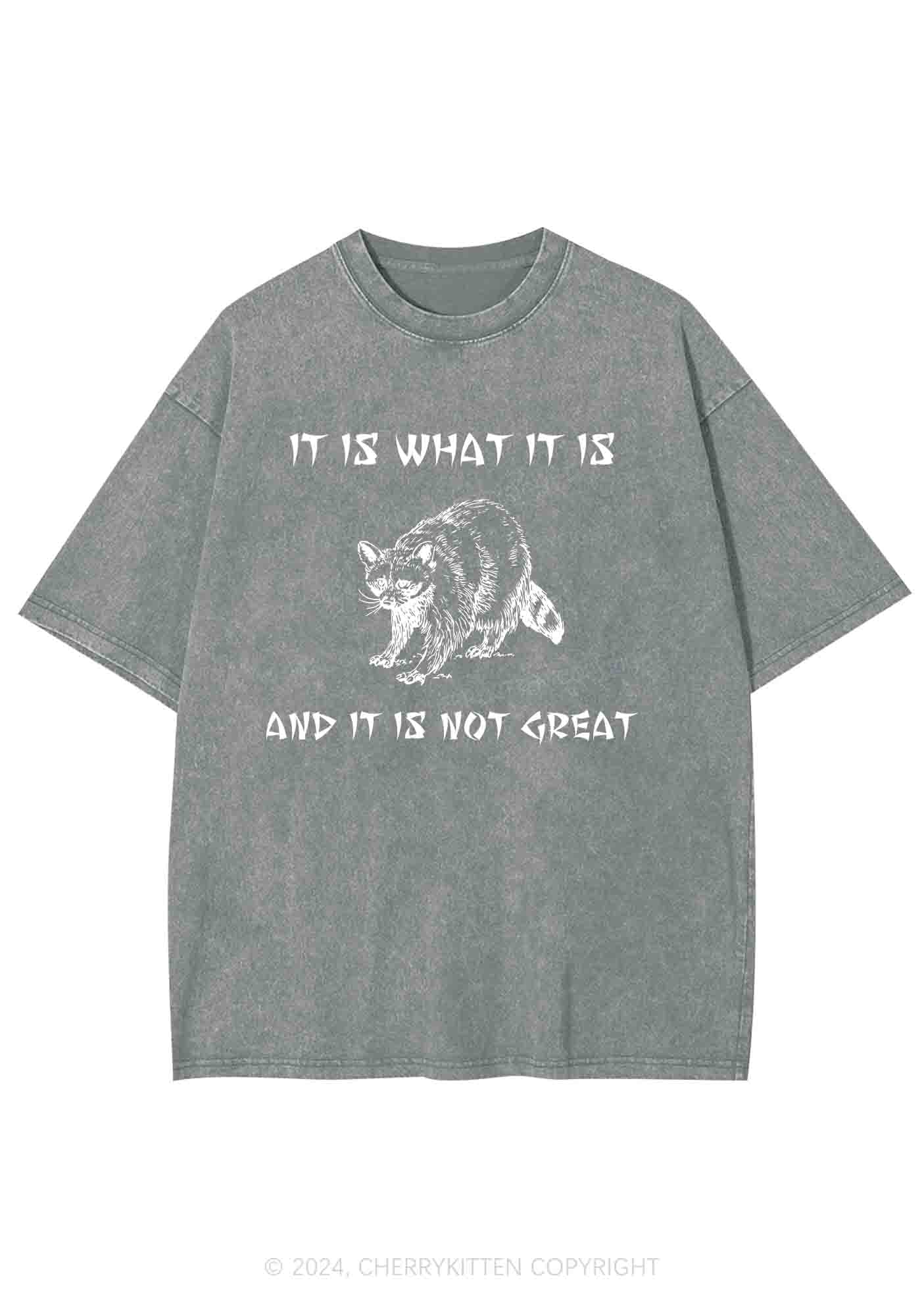 It Is What It Is And It Is Not Great Y2K Washed Tee Cherrykitten