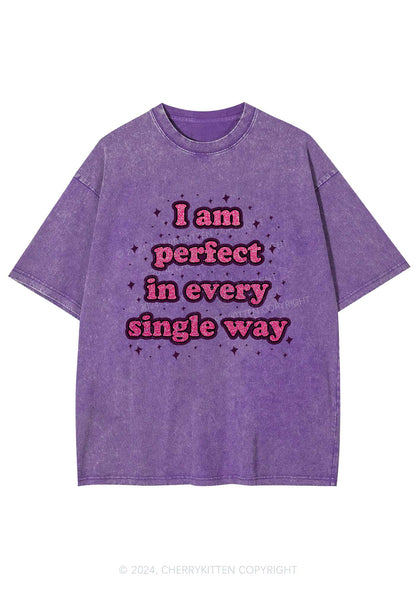 I'm Perfect In Every Single Way Y2K Washed Tee Cherrykitten
