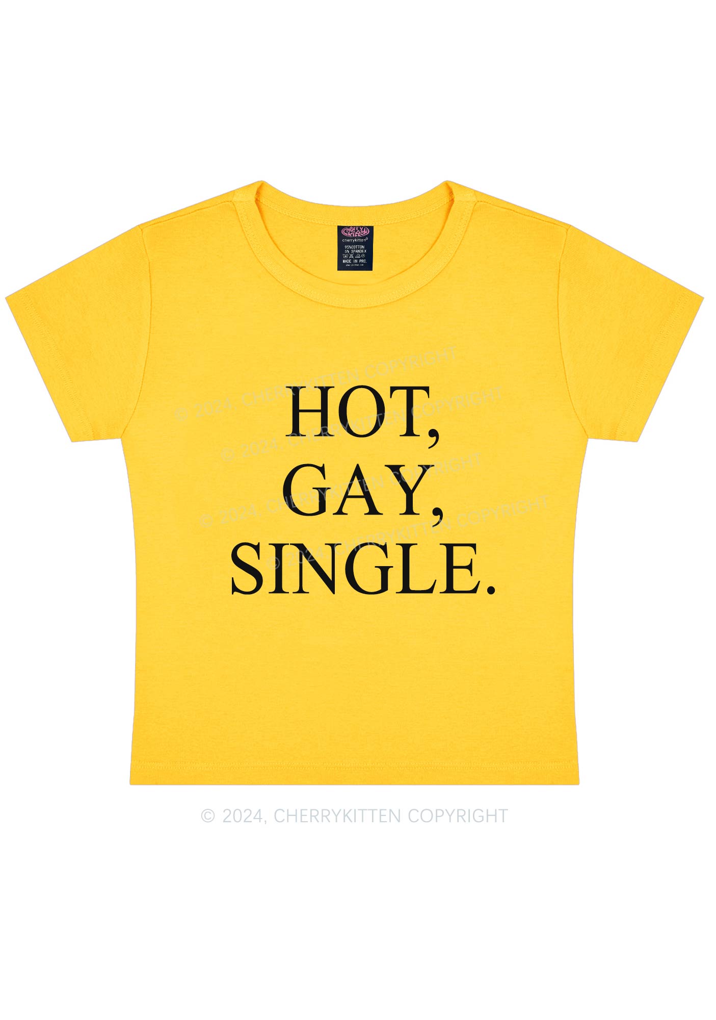 Hot Gay Single Y2K Baby Tee Cherrykitten