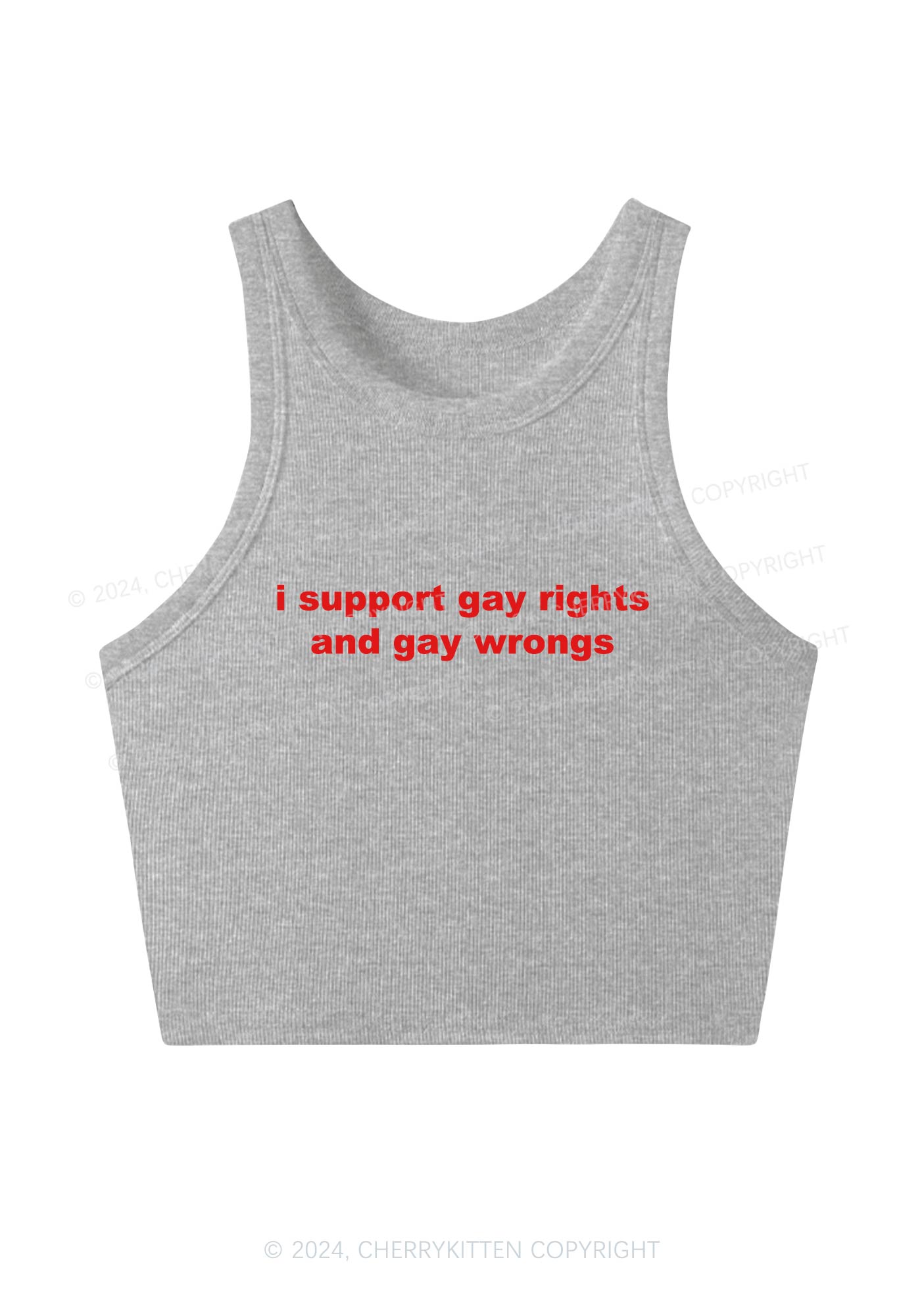 Support Gay Rights Y2K Crop Tank Top Cherrykitten