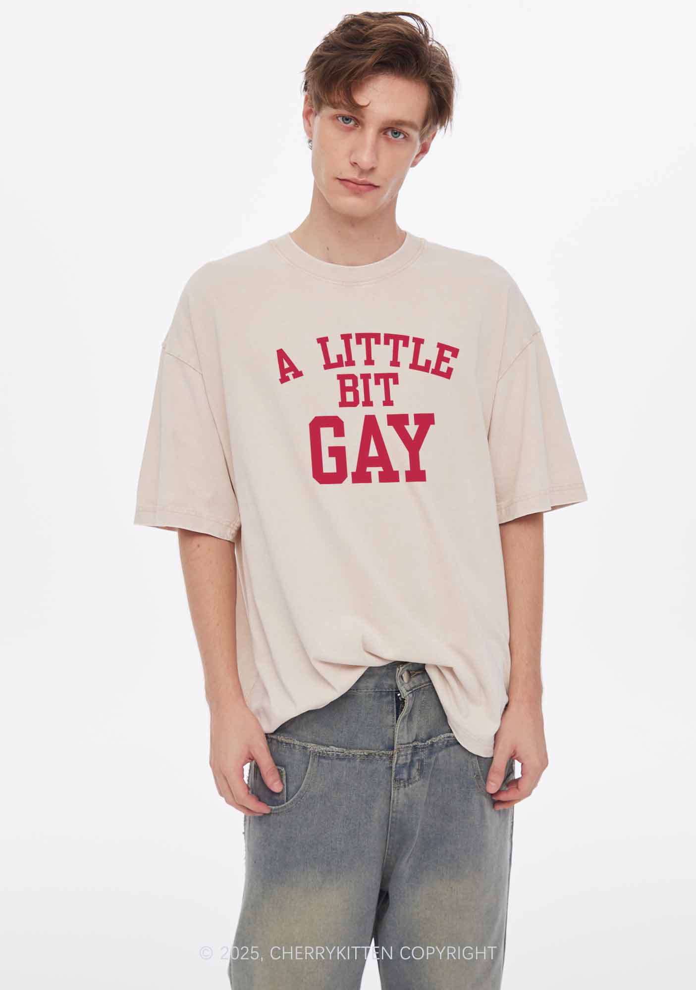 A Little Bit Gay Y2K Washed Tee Cherrykitten