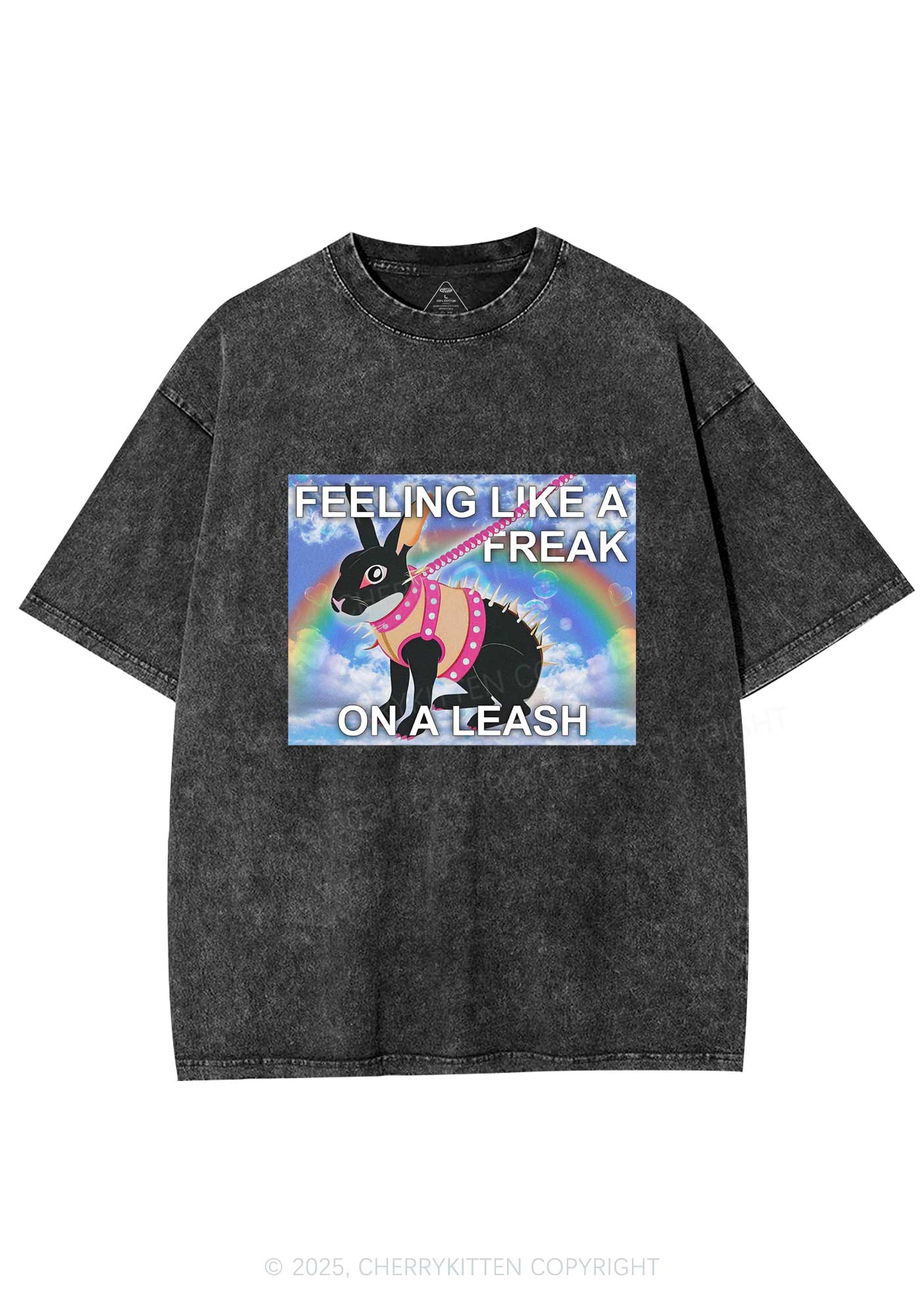 Freak On A Leash Y2K Washed Tee Cherrykitten