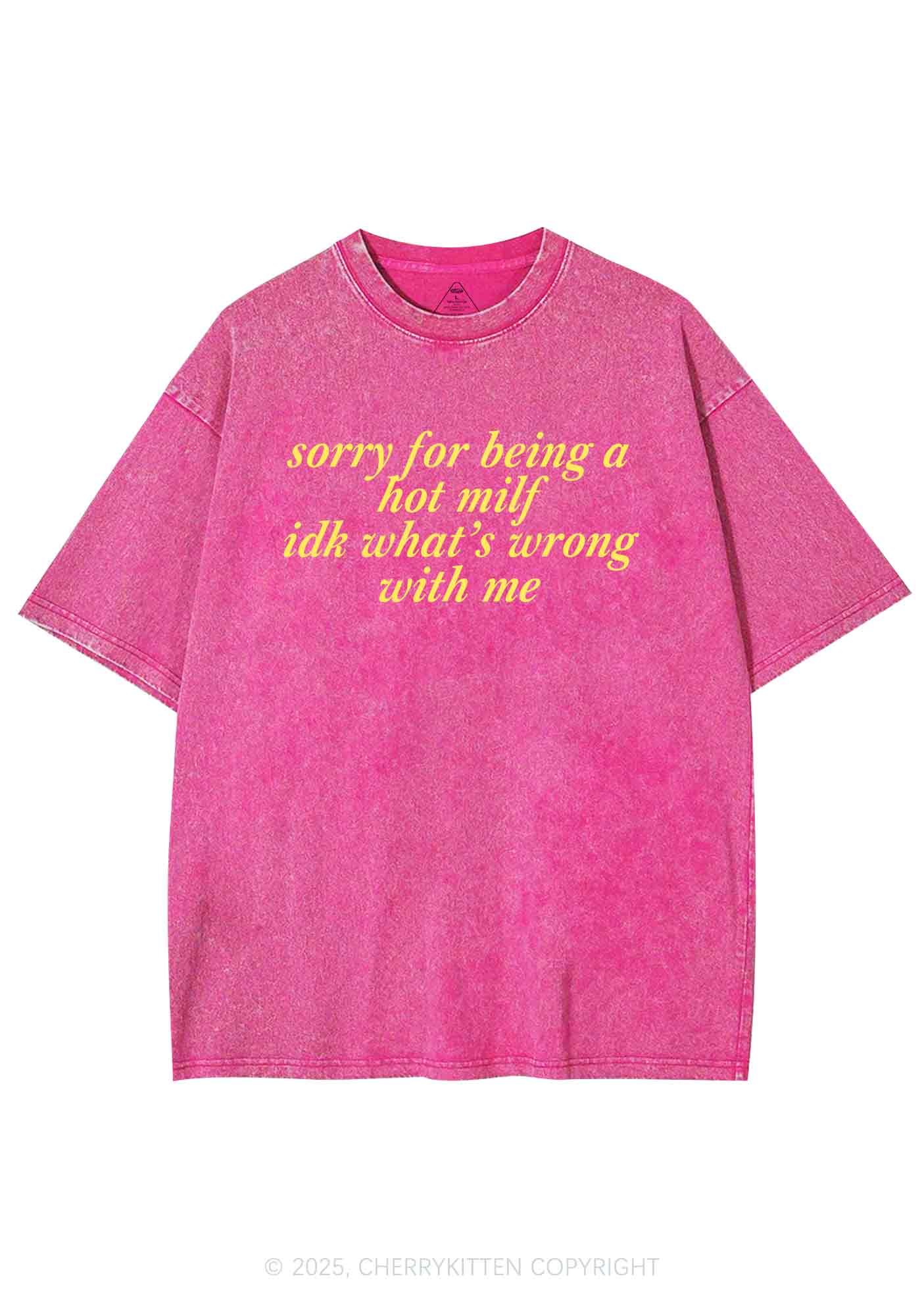 Sorry For Being A Hot Mxxf Y2K Washed Tee Cherrykitten