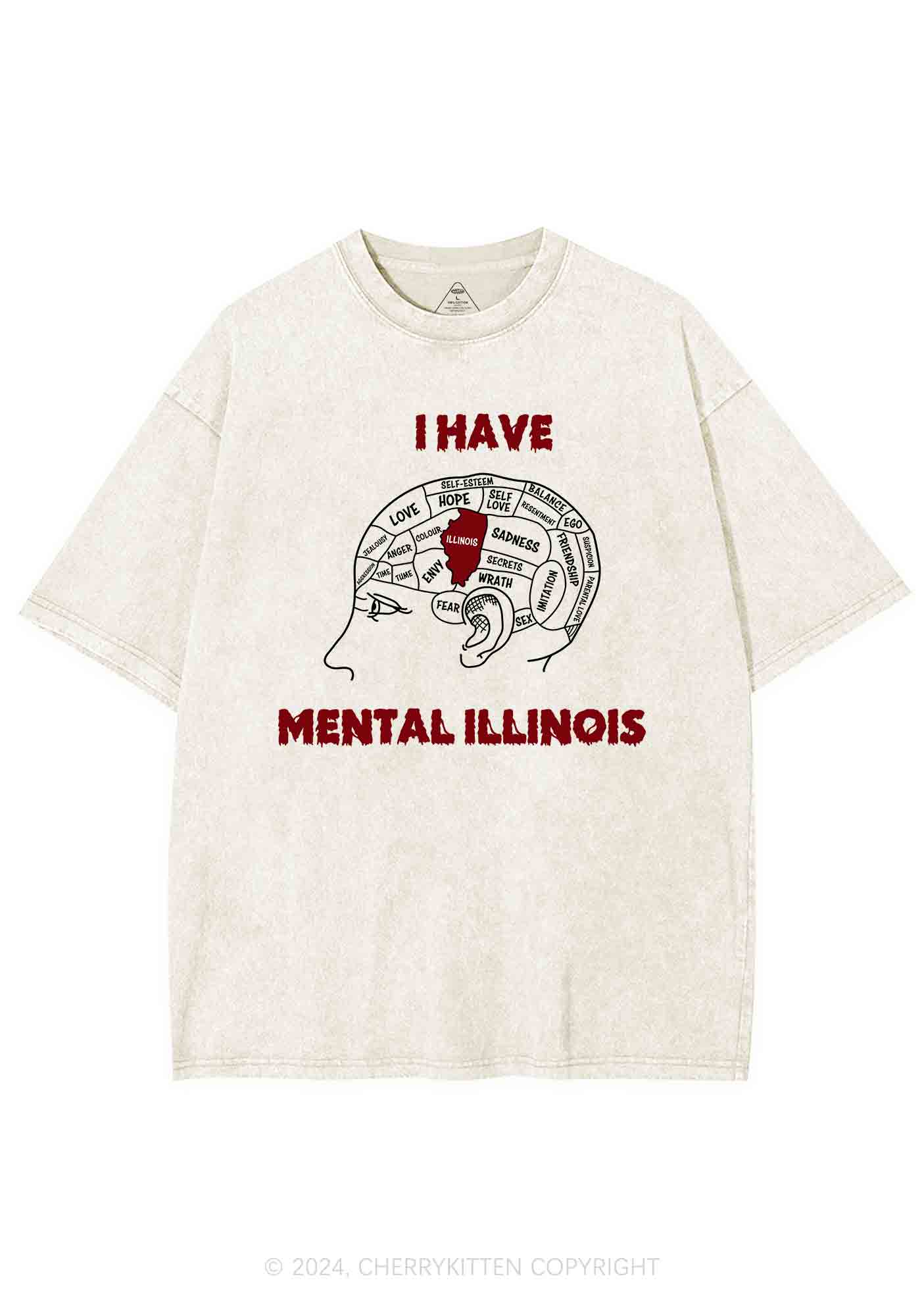 I Have Mental Illinois Y2K Washed Tee Cherrykitten