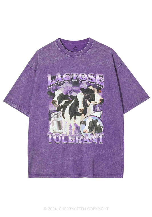 Lactose Tolerant Cow Y2K Washed Tee Cherrykitten