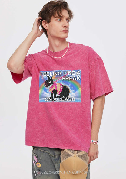 Freak On A Leash Y2K Washed Tee Cherrykitten