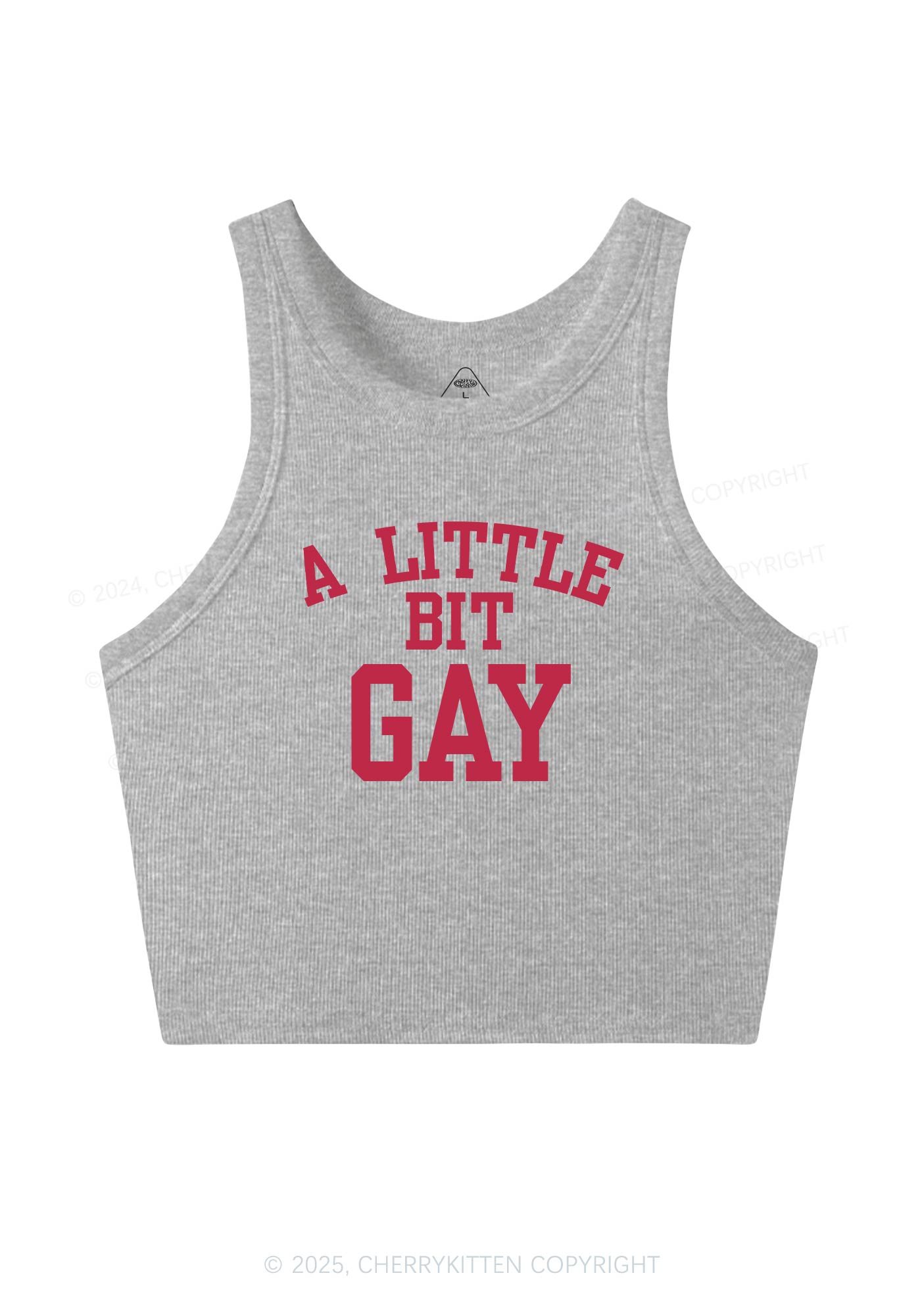 A Little Bit Gay Y2K Crop Tank Top Cherrykitten