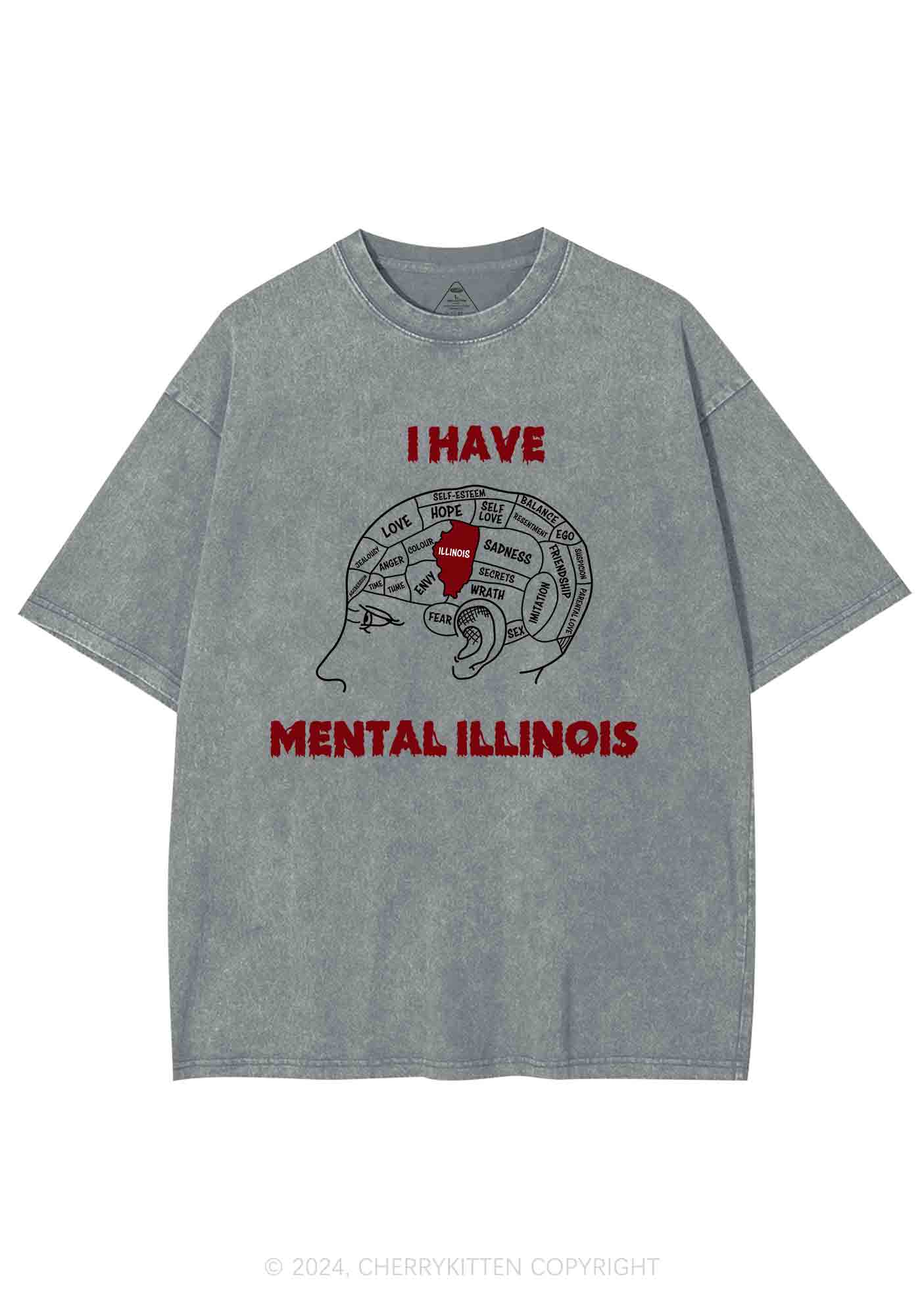 I Have Mental Illinois Y2K Washed Tee Cherrykitten