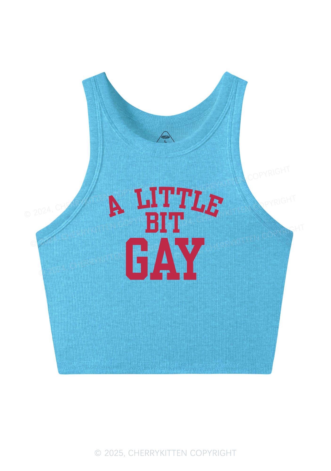 A Little Bit Gay Y2K Crop Tank Top Cherrykitten