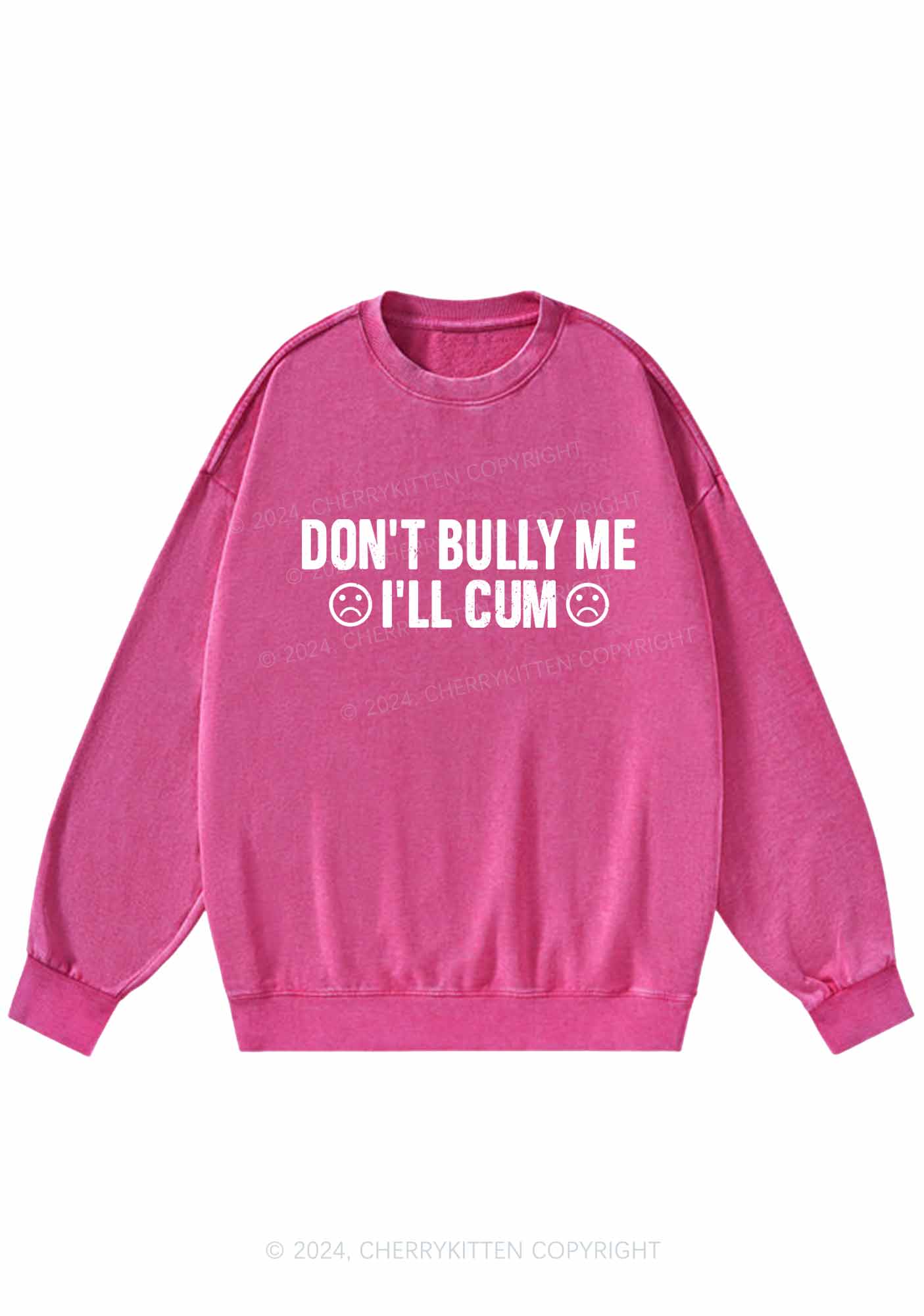 Don't Bully Me Y2K Washed Sweatshirts Cherrykitten