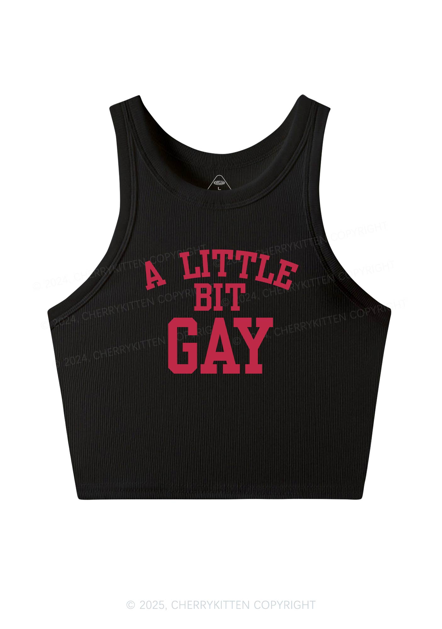 A Little Bit Gay Y2K Crop Tank Top Cherrykitten