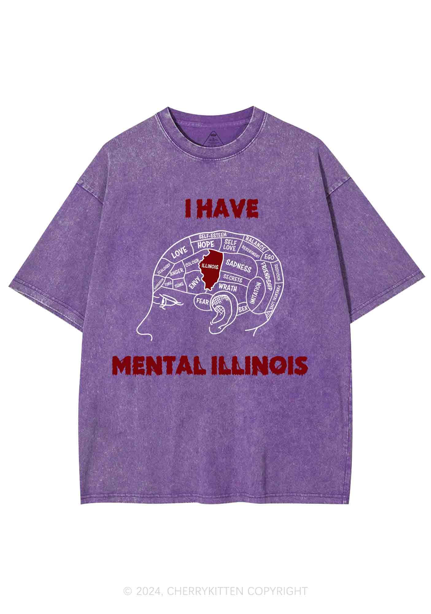 I Have Mental Illinois Y2K Washed Tee Cherrykitten