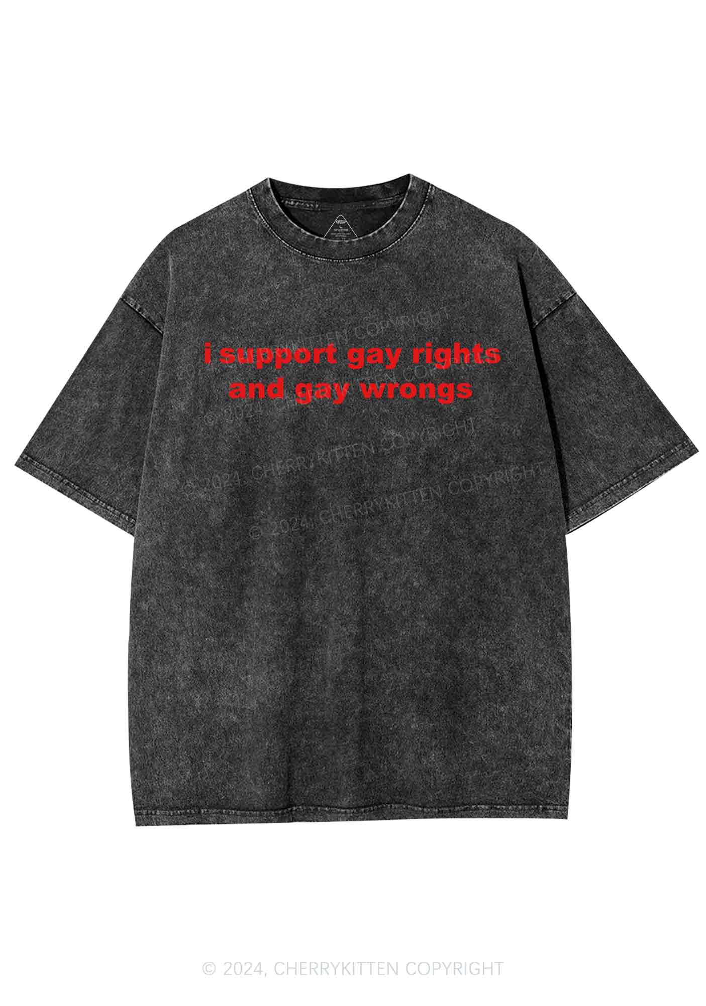 Support Gay Rights Y2K Washed Tee Cherrykitten