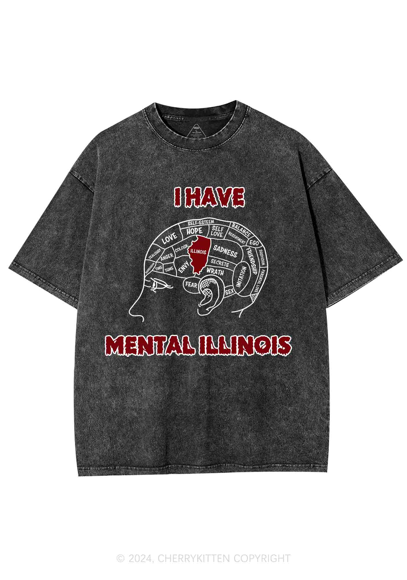 I Have Mental Illinois Y2K Washed Tee Cherrykitten