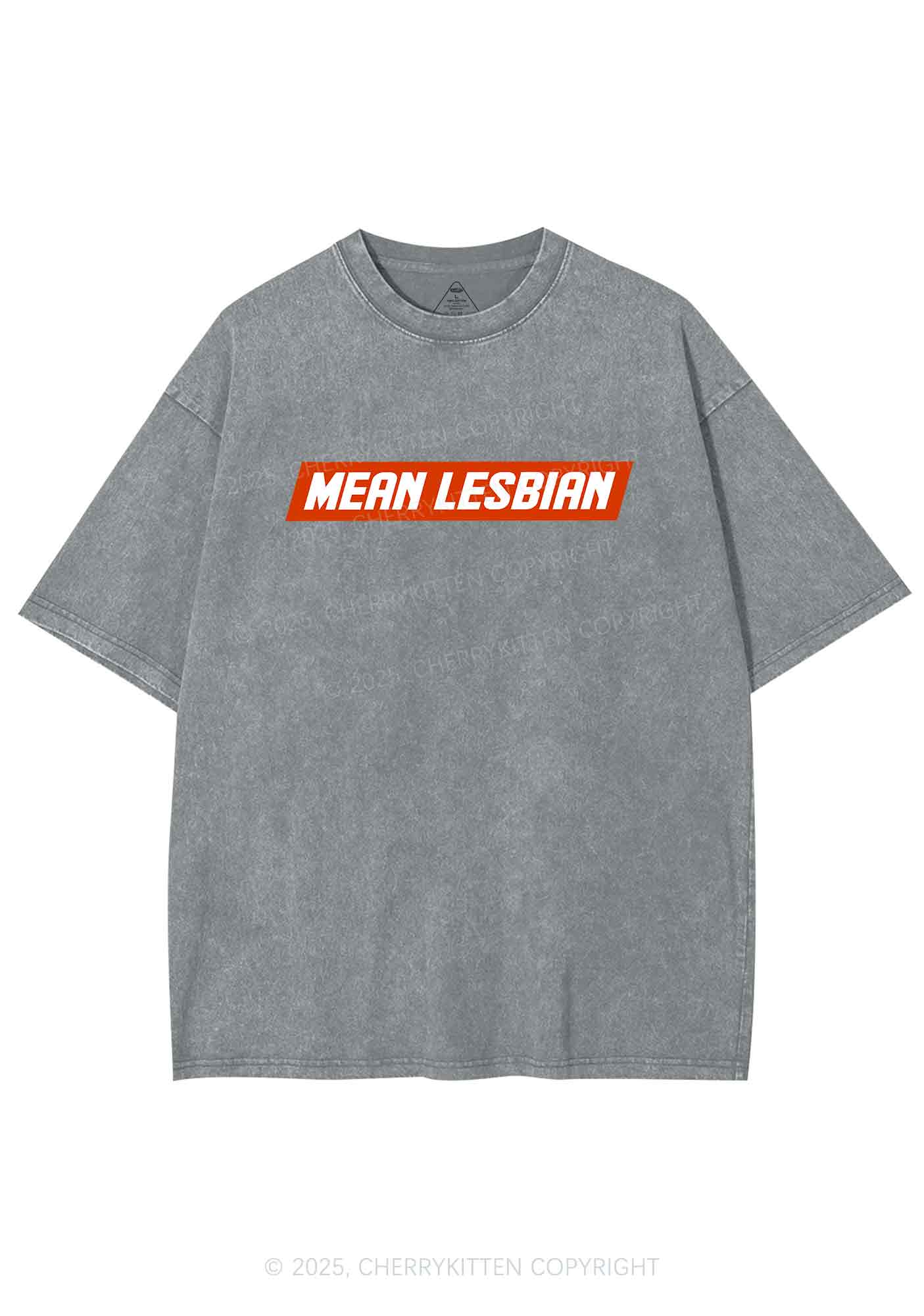 Mean Lesbian Y2K Washed Tee Cherrykitten