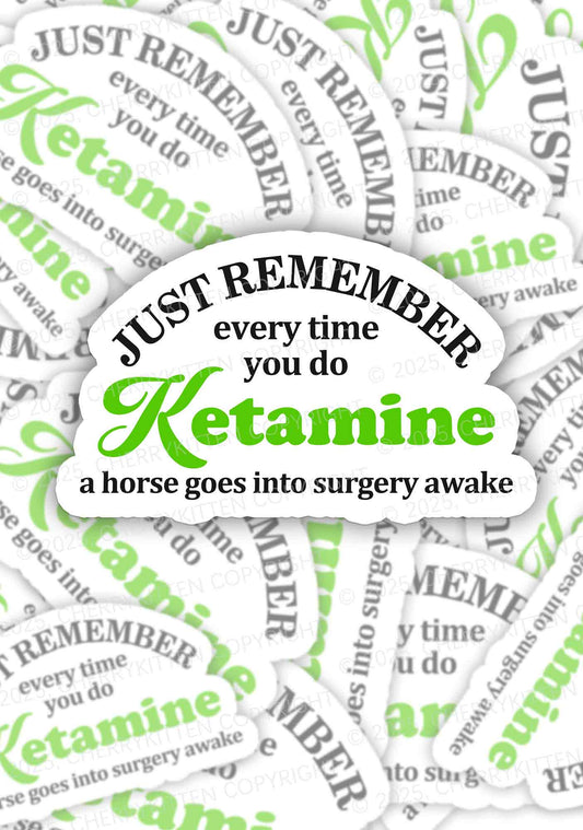 Just Remember K Horse 1Pc Y2K Sticker Cherrykitten