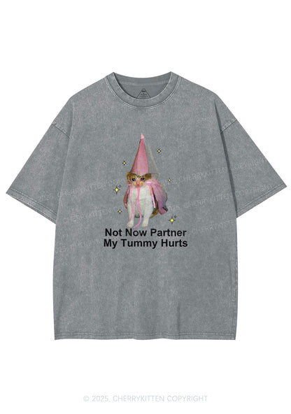 Tummy Hurts Cat Y2K Washed Tee Cherrykitten