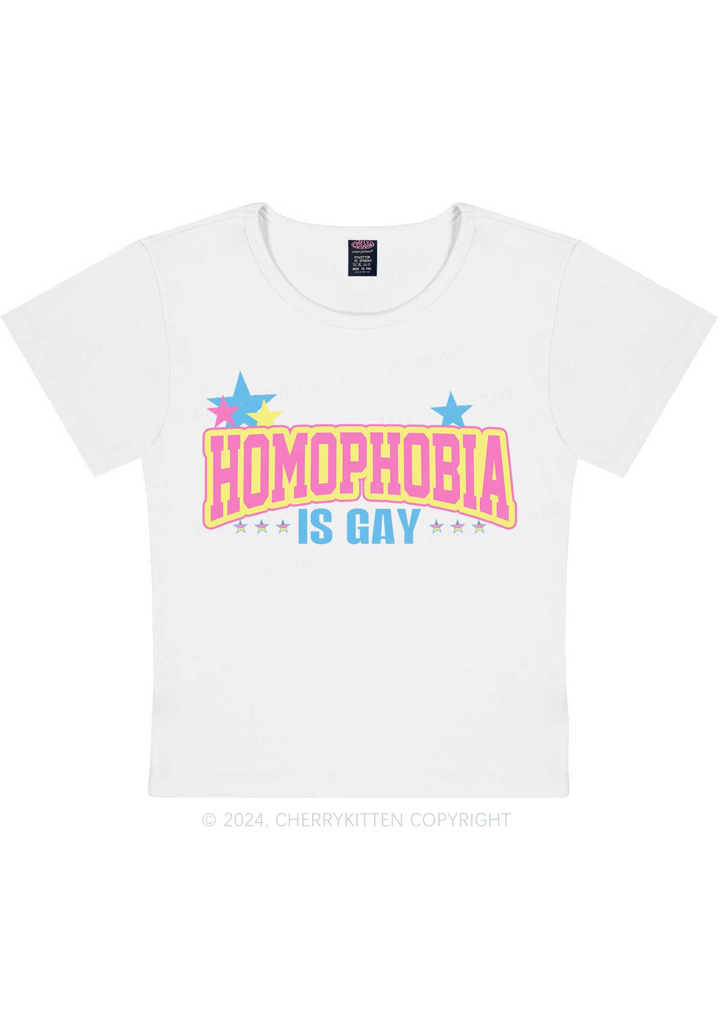 Homophobia Is Gay Y2K Baby Tee Cherrykitten