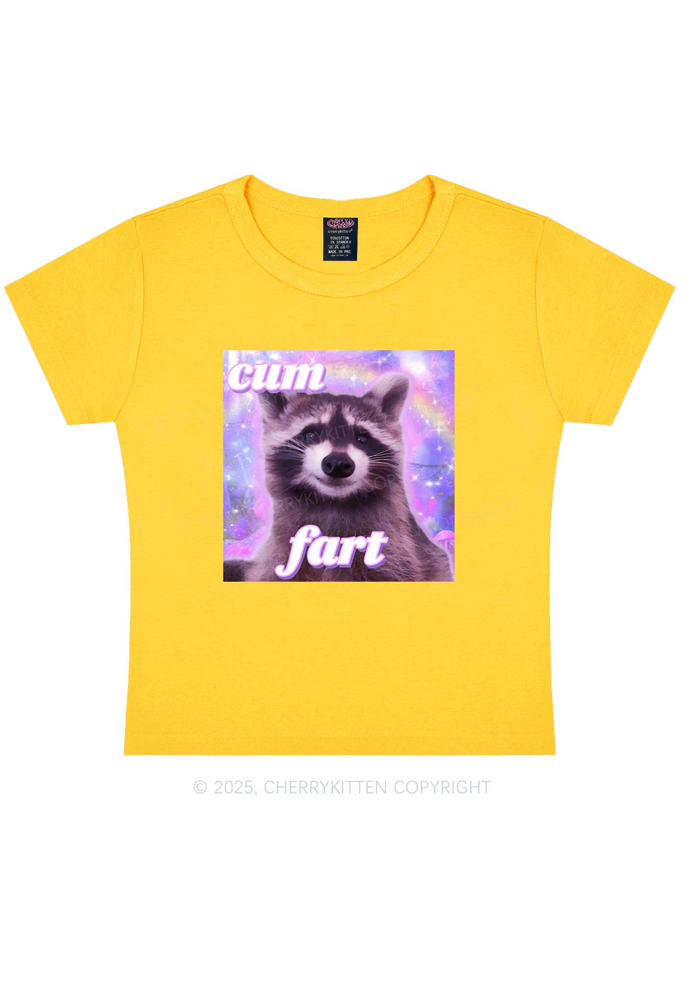 Cxm Fart Y2K Baby Tee Cherrykitten