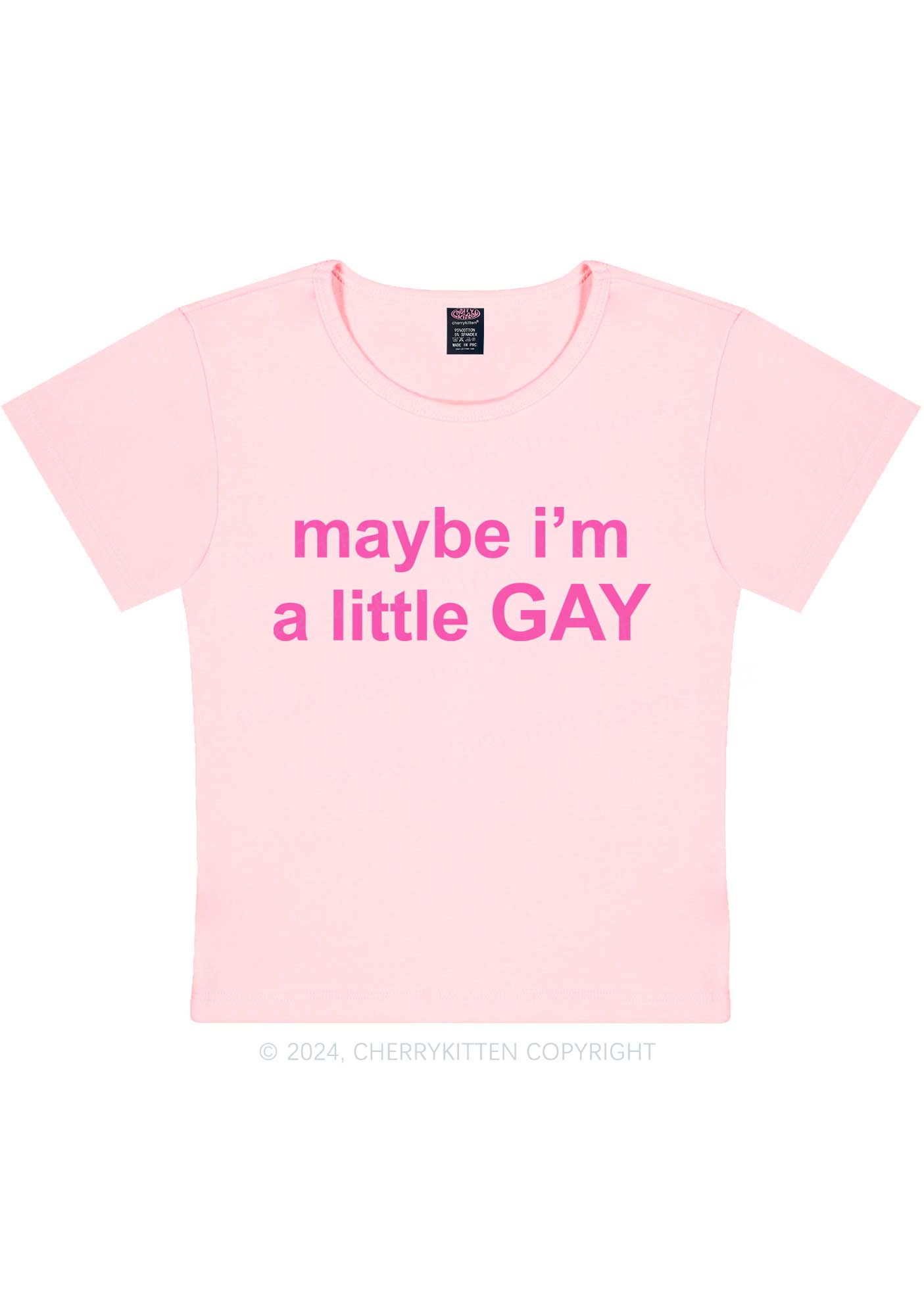 Maybe I'm A Gay Y2K Baby Tee Cherrykitten