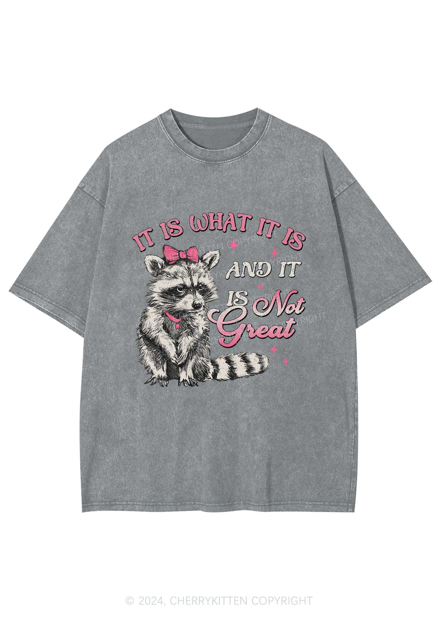 Not Great Raccoon Y2K Washed Tee Cherrykitten