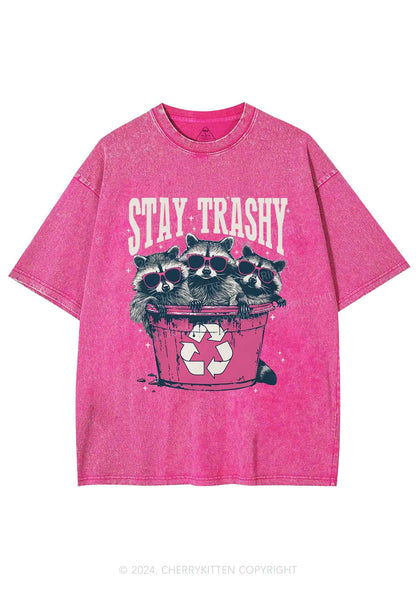 Three Raccoons Stay Trashy Y2K Washed Tee Cherrykitten