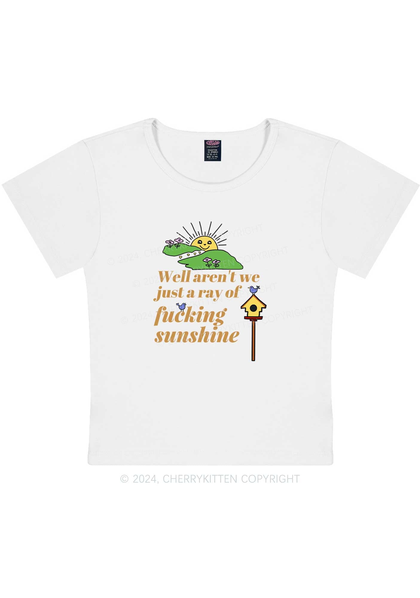 Curvy Sunshine Ray Y2K Baby Tee Cherrykitten