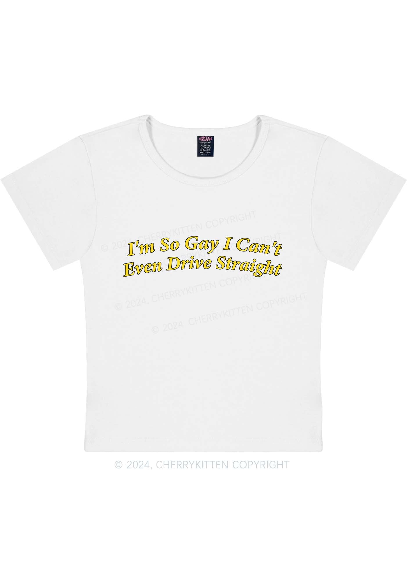 Curvy I'm So Gay Y2K Baby Tee Cherrykitten