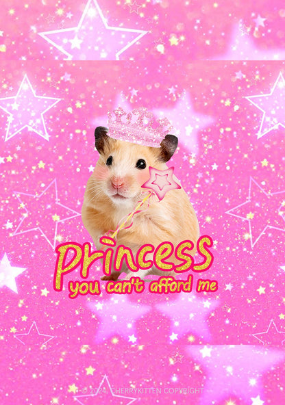 Princess You Can't Afford Me 1Pc Y2K Pin Cherrykitten