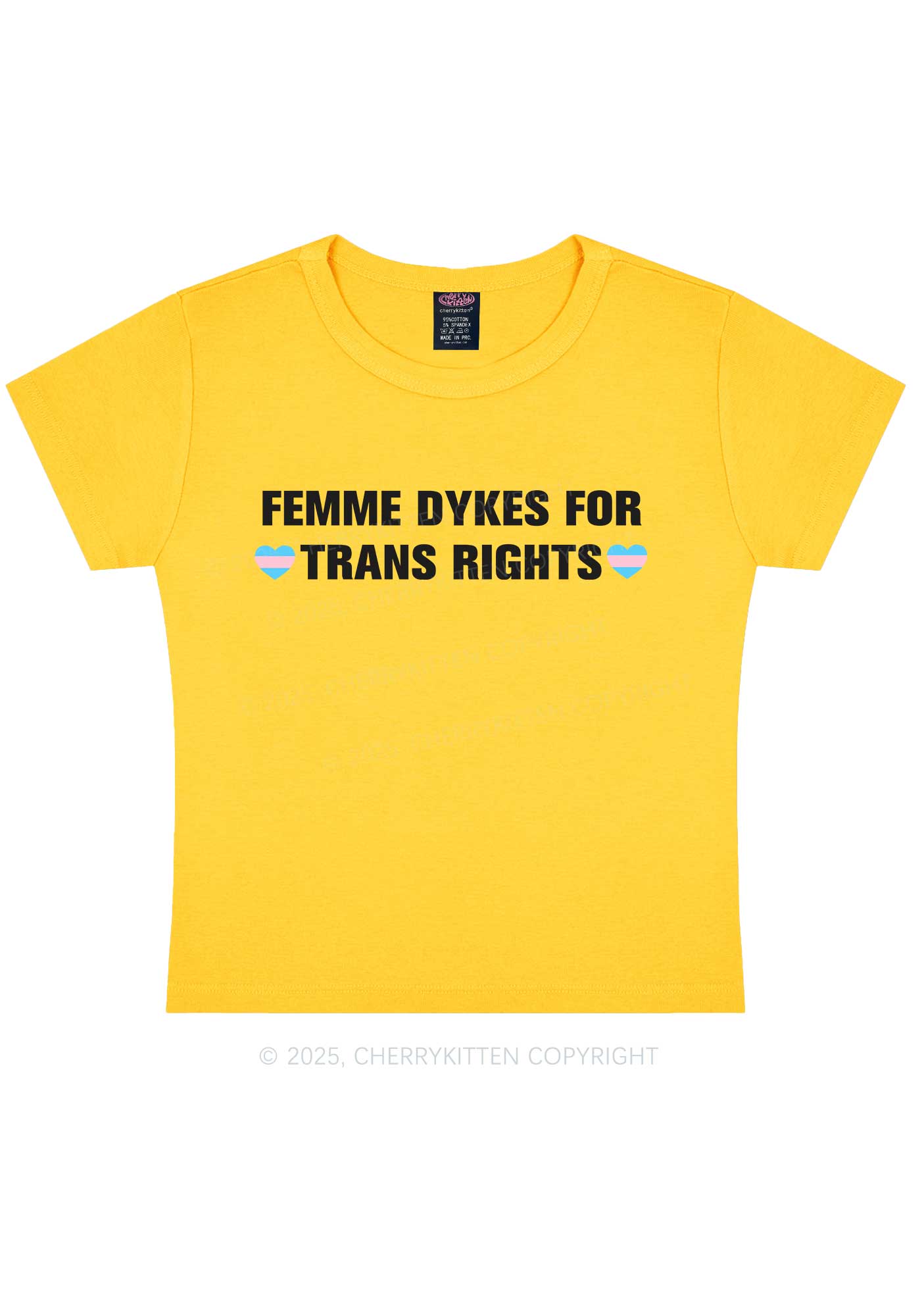 Femme Dykes For Trans Rights Y2K Baby Tee Cherrykitten