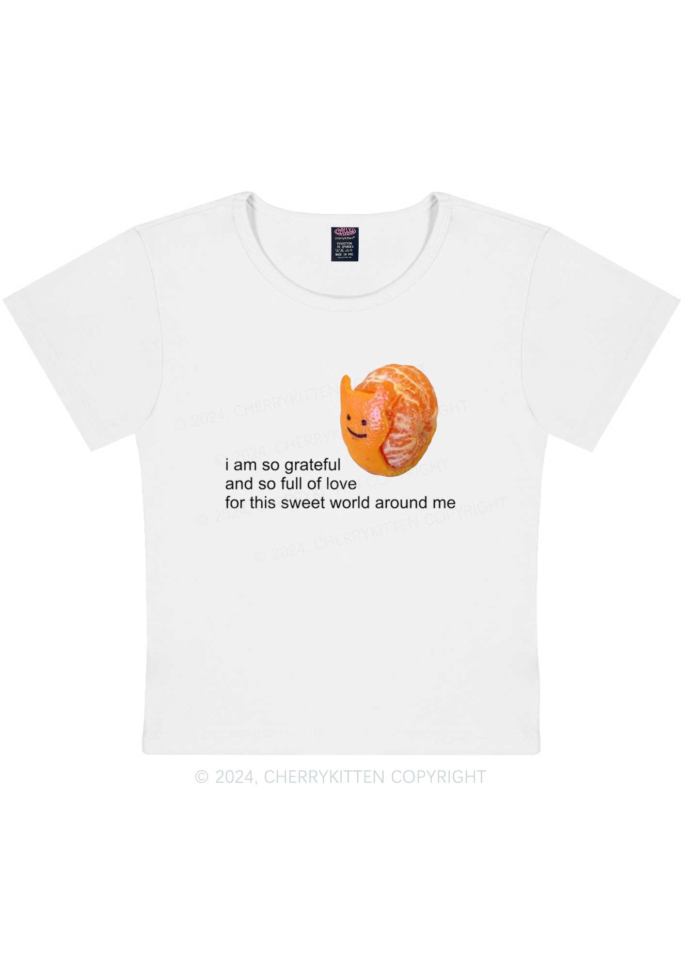 Curvy Grateful Orange Y2K Baby Tee Cherrykitten