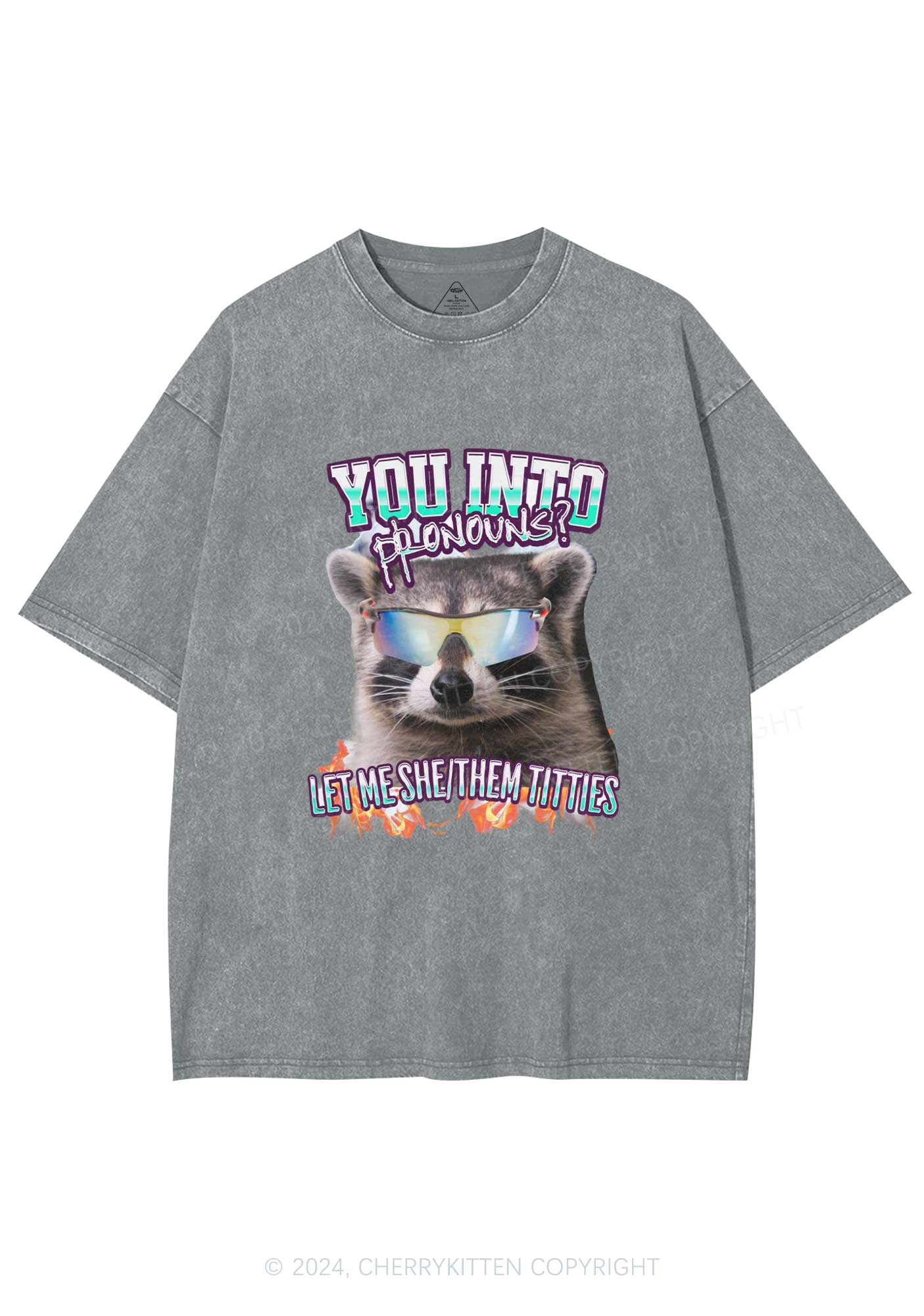 You Into Pronouns Y2K Washed Tee Cherrykitten