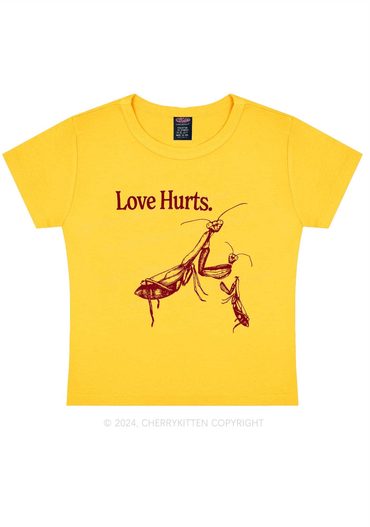 Love Hurts Y2K Valentine's Day Baby Tee Cherrykitten