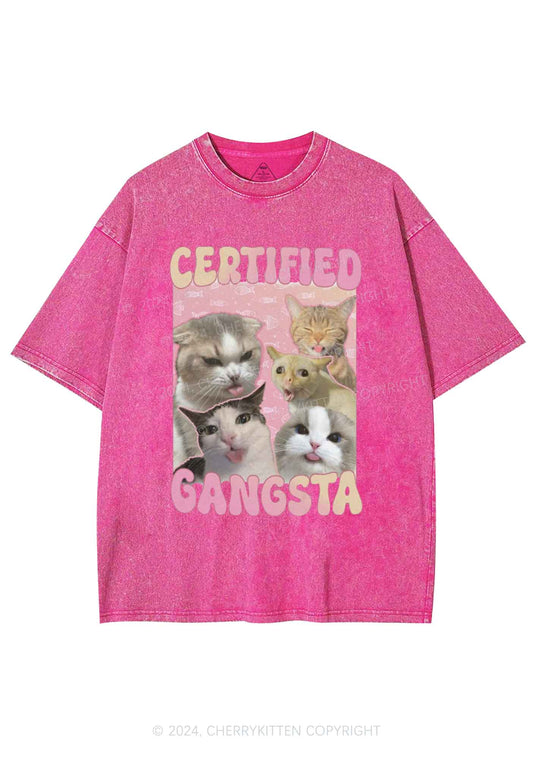 Certified Gangsta Cats Y2K Washed Tee Cherrykitten