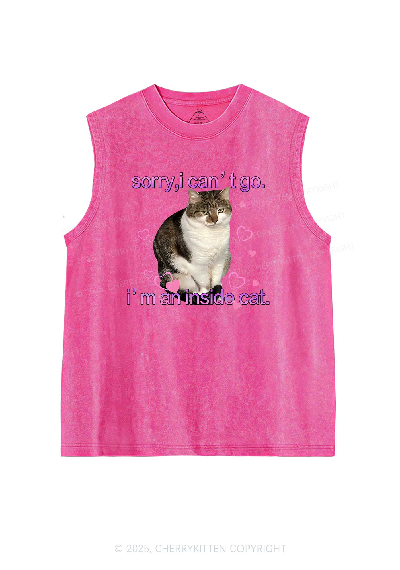 Im An Inside Cat Y2K Washed Tank Cherrykitten