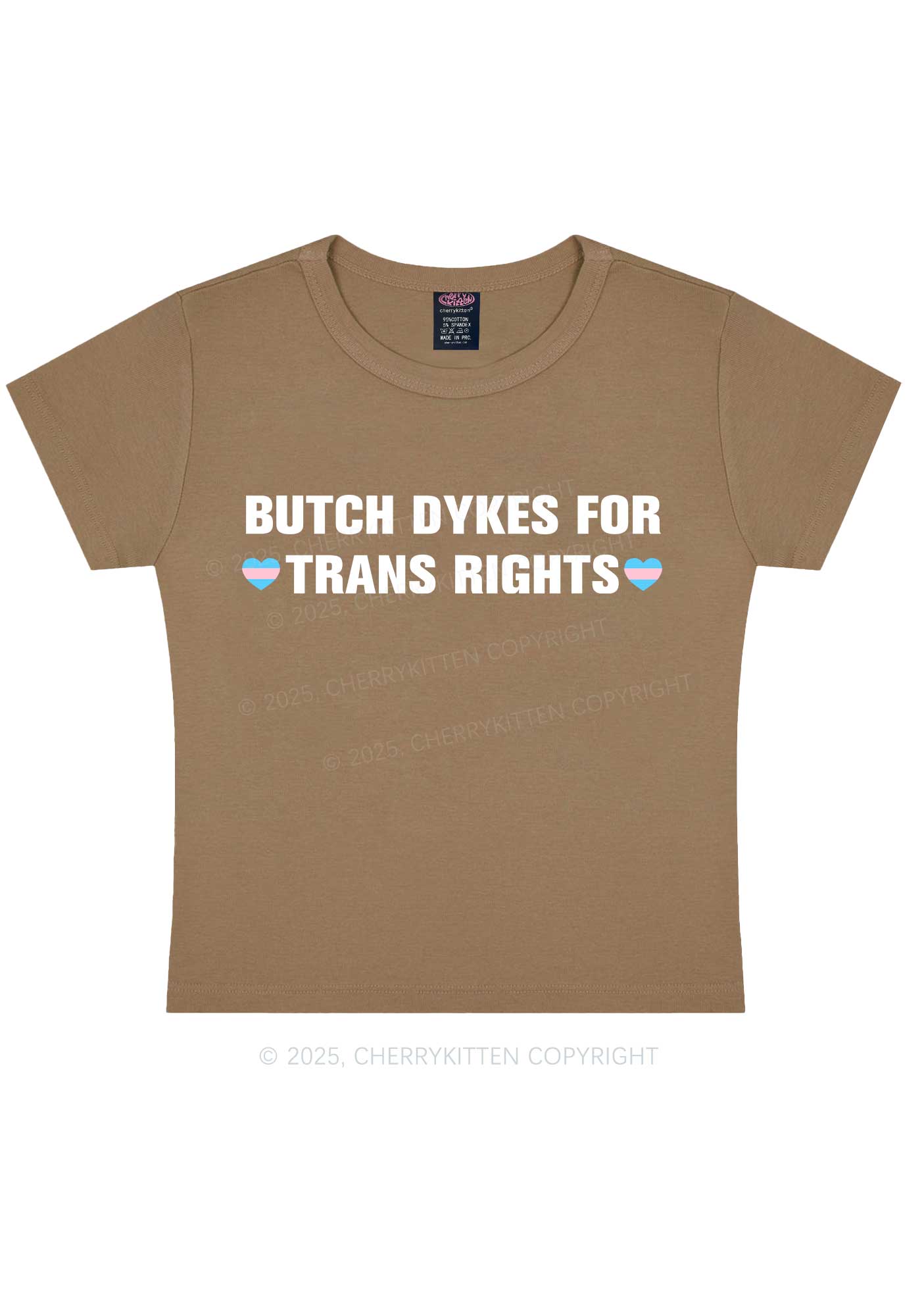 Butch Dykes For Trans Rights Y2K Baby Tee Cherrykitten