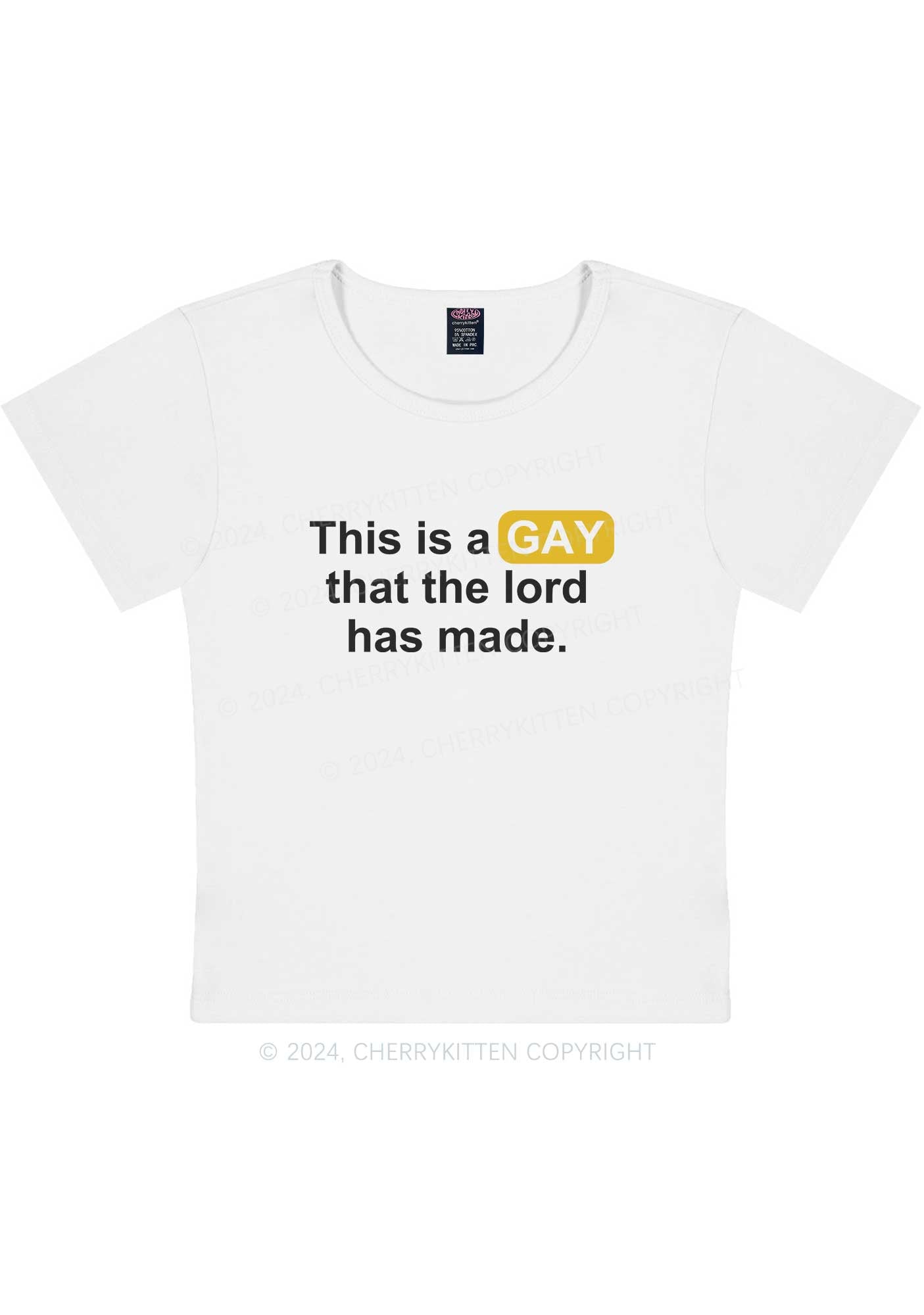 Curvy Lord Made Gay Y2K Baby Tee Cherrykitten